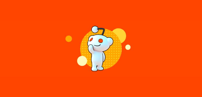 Reddit's Public Debut: A Deep Dive into the IPO Journey and Controversies